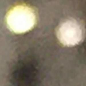 Meet your Posher, Jake